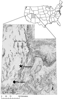 Outcomes associated with translocation of mule deer (Odocoileus hemionus): Influence of age, release timing, and year on survival